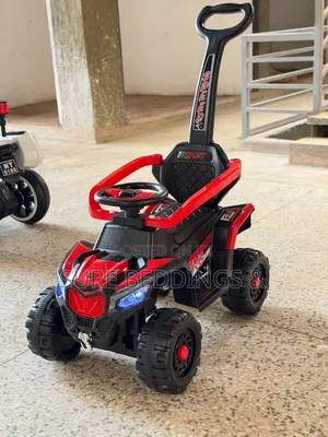 Remote Control Push Bike