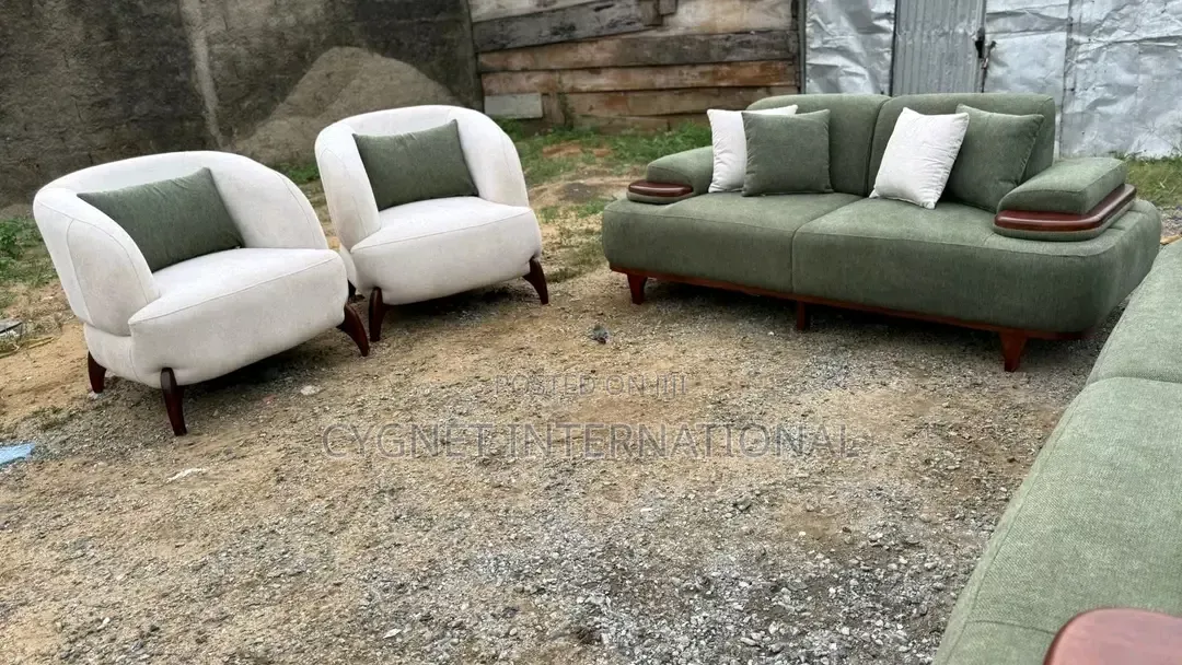 Ready to Take Modern Sofa Set