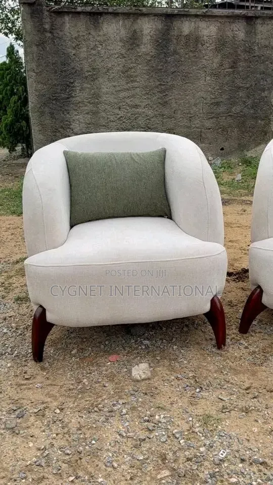 Ready to Take Modern Sofa Set