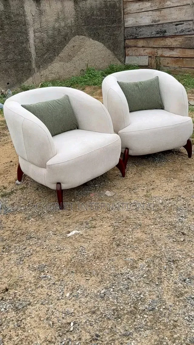 Ready to Take Modern Sofa Set