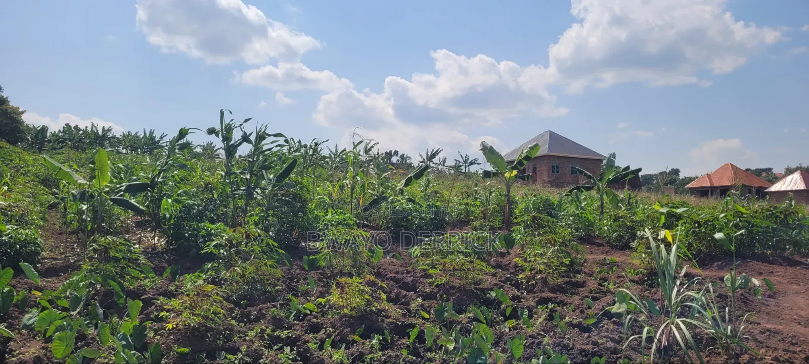 Plot of Land