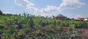 Plot of Land