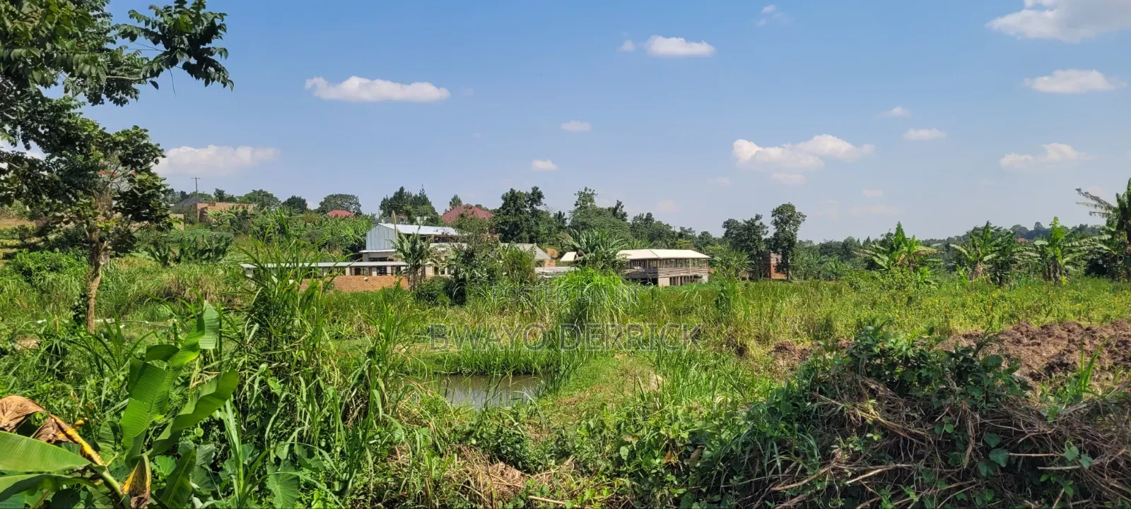 Plot of Land