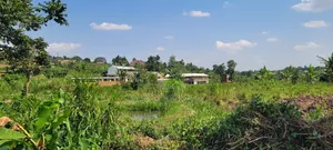 Plot of Land
