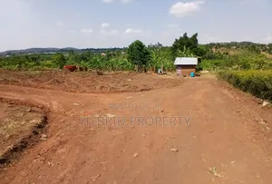 Prime Plots for Sale at Kakiri~Mwera Elite Land Estate Along Hoima Rd.