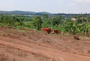 Prime Plots for Sale at Kakiri~Mwera Elite Land Estate Along Hoima Rd.