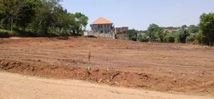 50*100ft Plots in Nangabo Kasangati Next to Nangabo Sub County