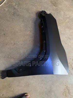 Toyota Rav4 2019 - Onwards Fender / Etama