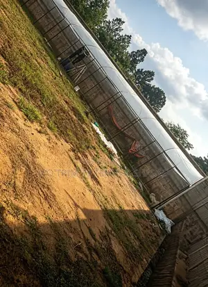 High-Clearance Tunnel Greenhouse Enclosure