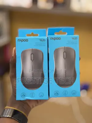 Rapoo 1620 Wireless 2.4GHz Optical Mouse for Laptop, 10 Metre Range