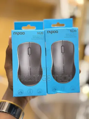 Rapoo 1620 Wireless 2.4GHz Optical Mouse for Laptop, 10 Metre Range