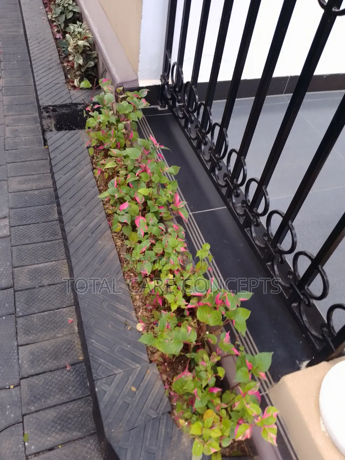 Modern Paving and Gardening Masters in Kampala