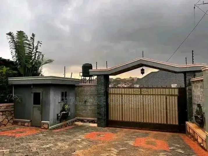 Modern Paving and Gardening Masters in Kampala