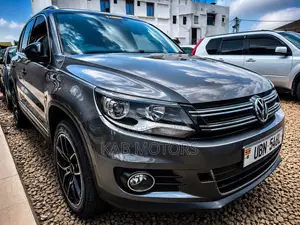 Volkswagen Tiguan 2015 Silver