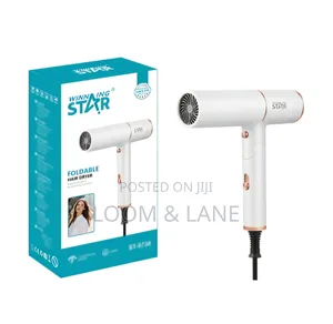 Winning Star ST-5738 Foldable Hair Dryer