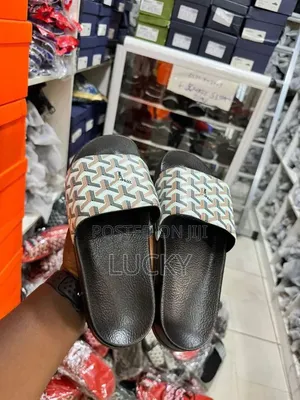 Dapadans Pushins