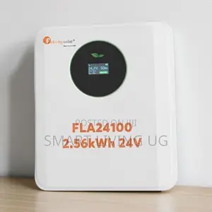 Upgrade Your Solar Setup With Felicity 2.56kWh Battery