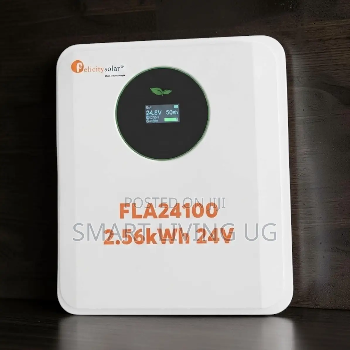 High-Capacity Felicity 24V 100Ah Lithium Battery
