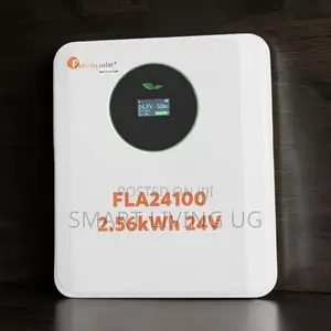 High-Capacity Felicity 24V 100Ah Lithium Battery