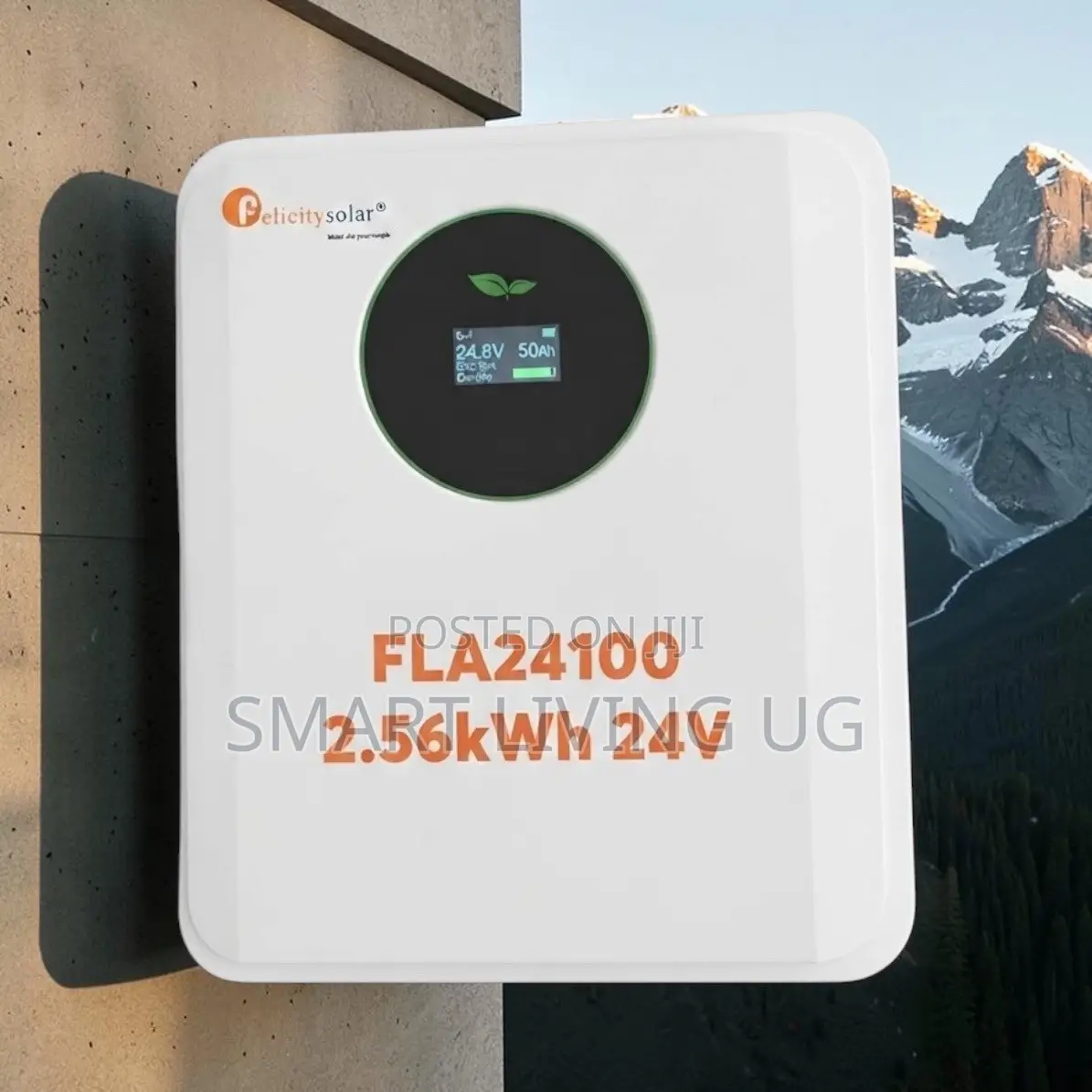 Premium Felicity 2.56kWh Lithium Battery – 24V