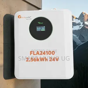 Premium Felicity 2.56kWh Lithium Battery – 24V