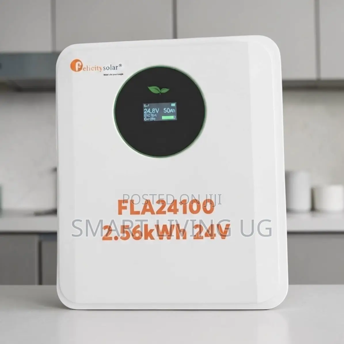 Premium Felicity 2.56kWh Lithium Battery – 24V