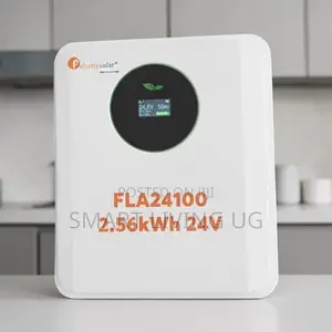 Premium Felicity 2.56kWh Lithium Battery – 24V