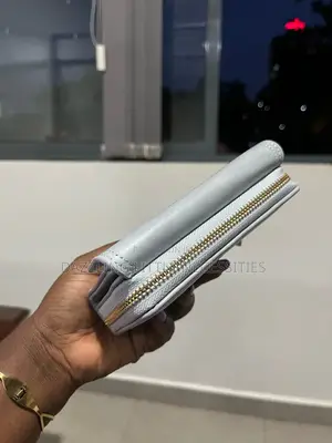 Light Gray Envelope Wallet for Ladies