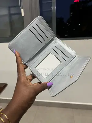 Light Gray Envelope Wallet for Ladies