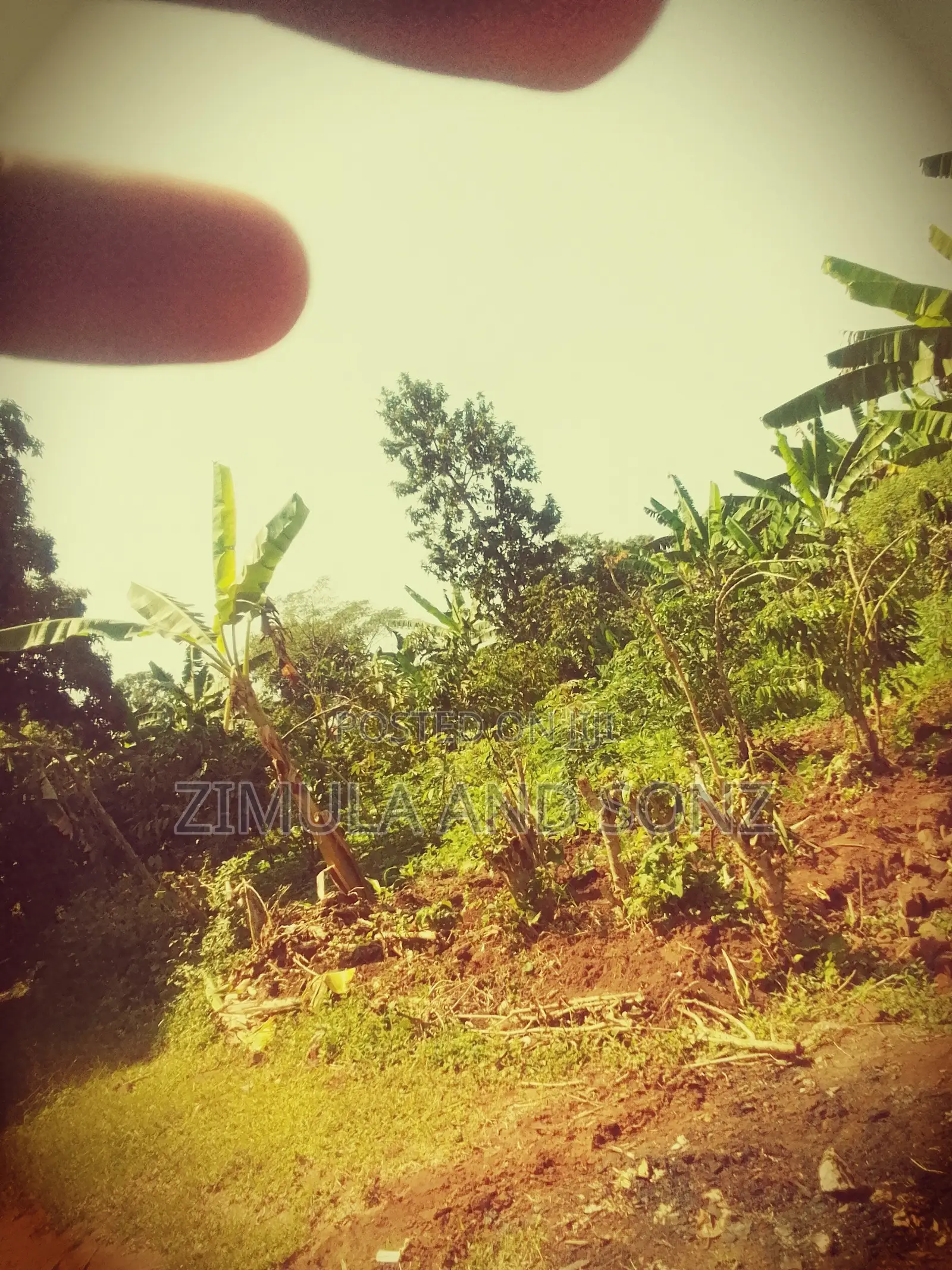 Plot for Sale