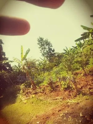 Plot for Sale