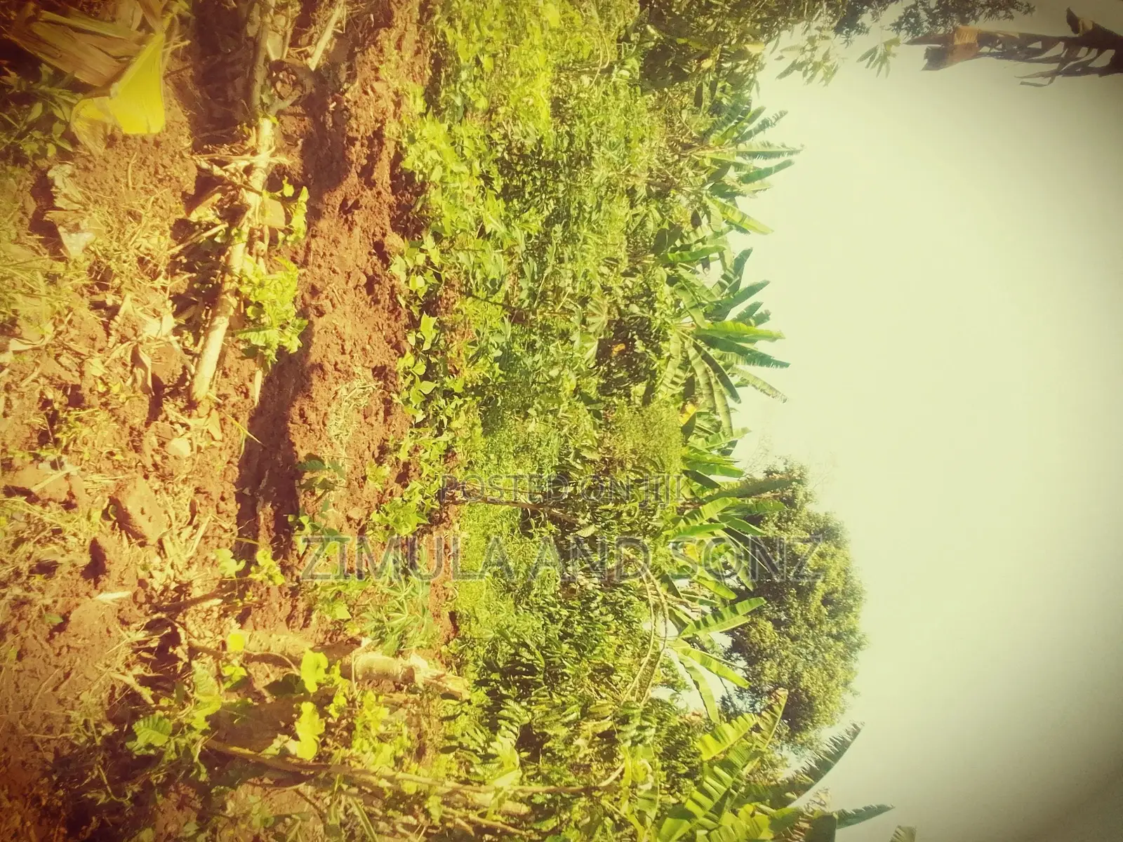 Plot for Sale