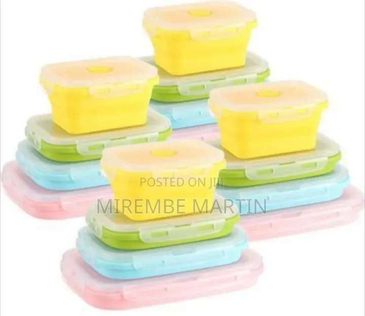 Versatile Collapsible Silicone Food Storage Container Set (Pack of 4)