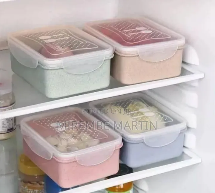 Modern Food Storage / Lunch Box Container