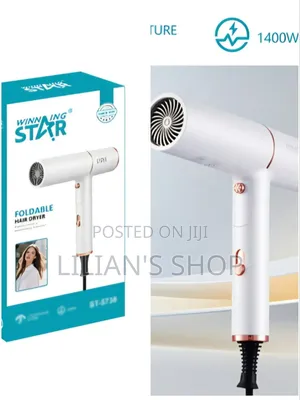 Winning Star ST-5738 Foldable Hair Dryer