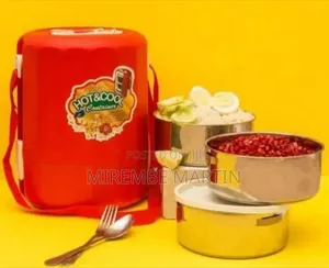 Insulated "Hot Cool" Food Storage Container