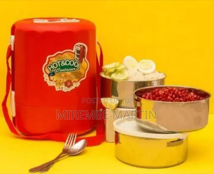 Insulated "Hot Cool" Food Storage Container
