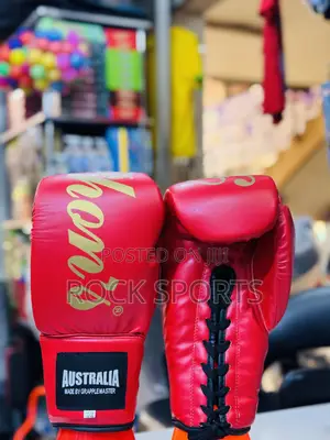 Boxing Gloves (Grapple Master)