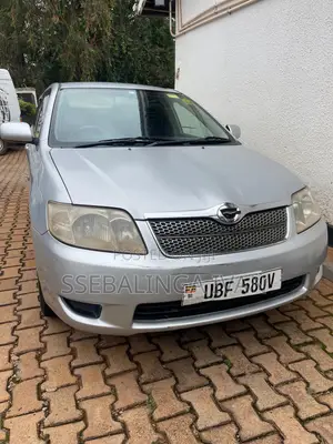 Toyota Corolla Fielder 2006 Silver