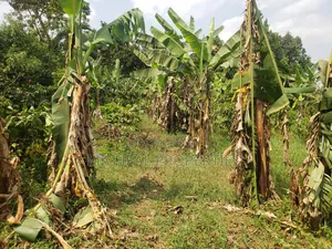 Plot for Sell Mpelerwe Kitagobwa