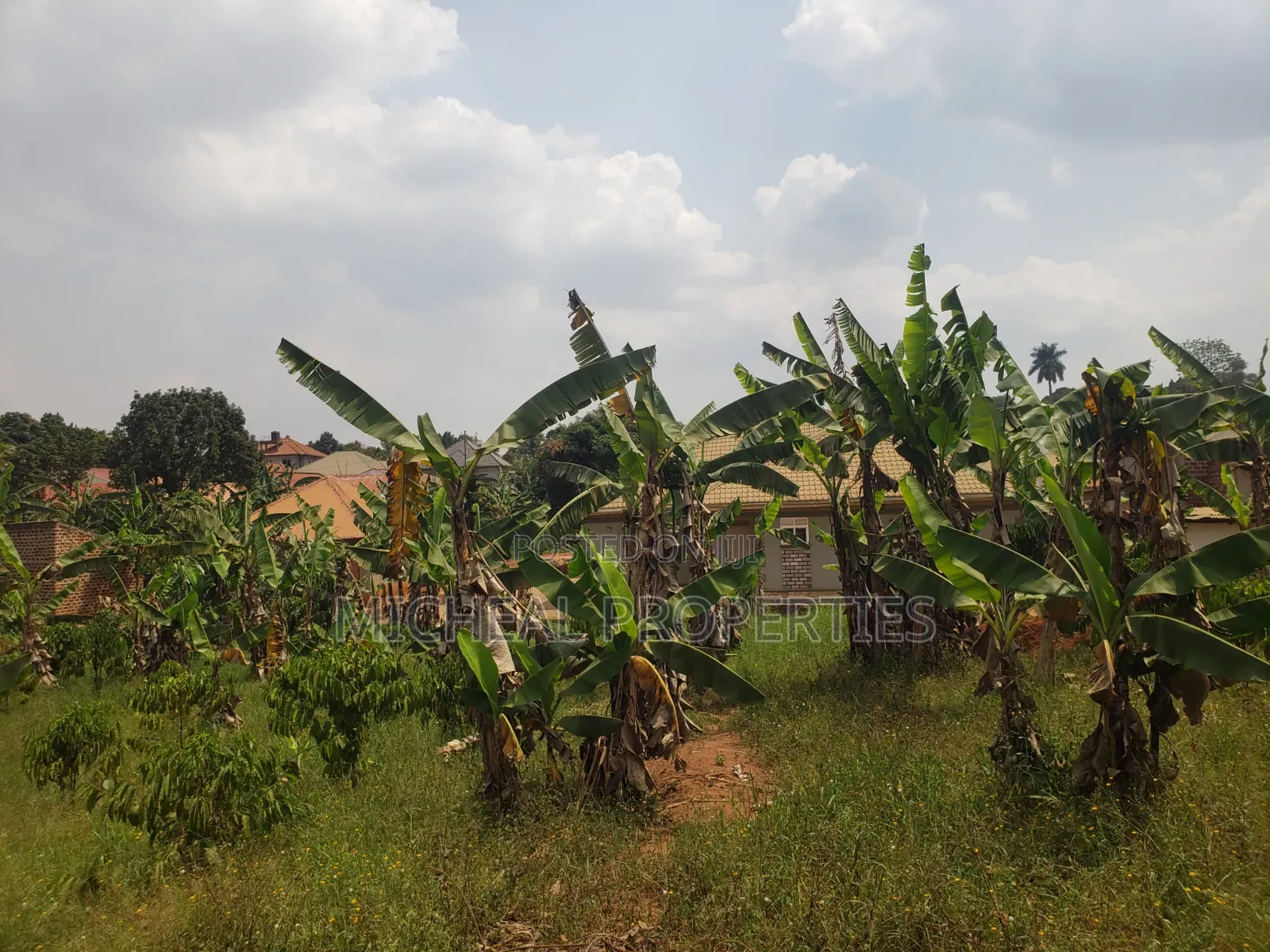 Plot for Sell Mpelerwe Kitagobwa