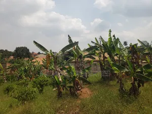 Plot for Sell Mpelerwe Kitagobwa