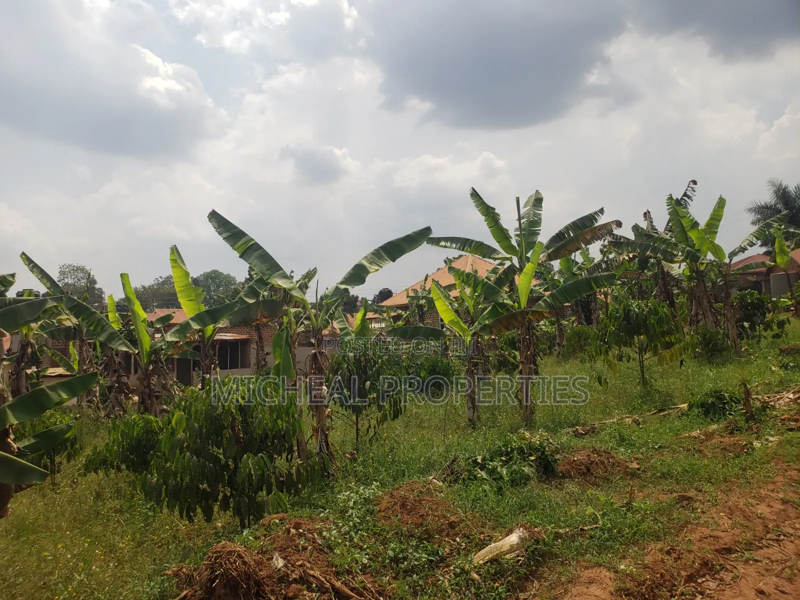 Plot for Sell Mpelerwe Kitagobwa