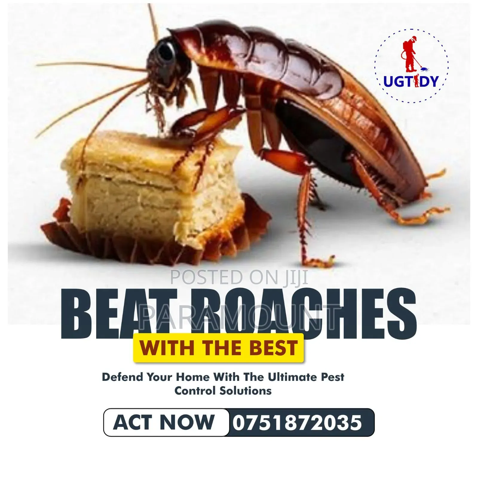 Fumigation Services