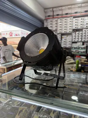 Professional 200W COB LED Par Stage Light - Warm Cool White