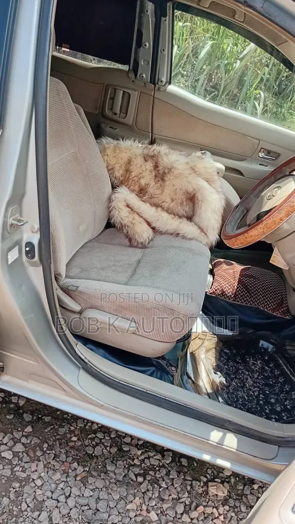Toyota Raum 2005 Silver