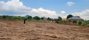 Gobero Plots