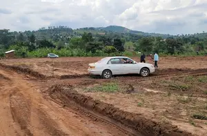 Gobero Plots