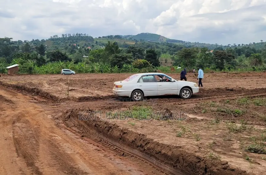Gobero Plots