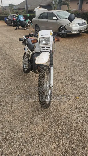 Yamaha DT175 2020 White